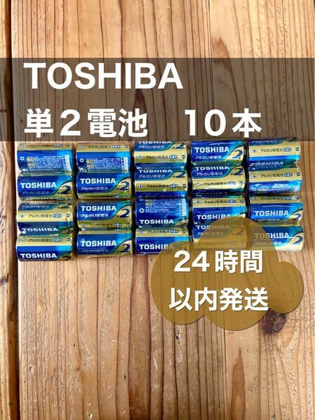 東芝　単2アルカリ乾電池　10本　防災　備蓄　単二 g@