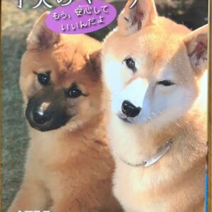 捨て犬・未来と子犬のマーチ : もう、安心していいんだよ