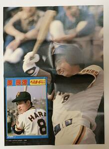 *.. virtue Baseball album No.21*1981 year 6 month 1 day /. writing company / appendix poster attaching / baseball magazine 