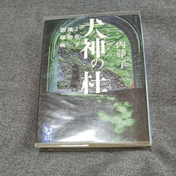 犬神の杜 （講談社タイガ　ナＢ－０４　よろず建物因縁帳） 内藤了／著