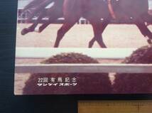 競馬パネル：テンポイント「1977年第22回有馬記念」※内馬場視線_画像8