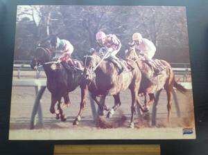 競馬パネル：トウショウボーイ「1976年第21回有馬記念」※２番エリモジョージ