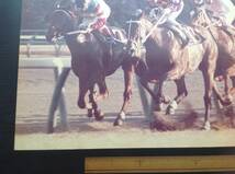 競馬パネル：トウショウボーイ「1976年第21回有馬記念」※２番エリモジョージ_画像4
