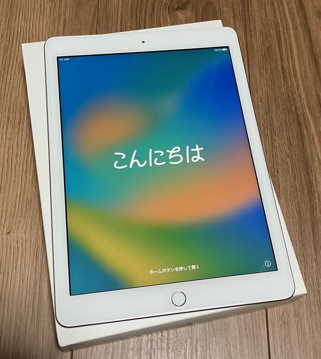iPad Mini 第５世代 256G セルラー SIMフリー スペースグレイ 純正ペン 