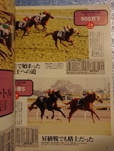 週刊100名馬 エアジハード Gallop臨時増刊vol.84_画像4