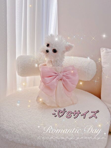 ペット服 S ワンピース いぬ ネコ サテン ベージュ キラキラ リボン 超小型犬 ラスト1点 再入荷予定なし