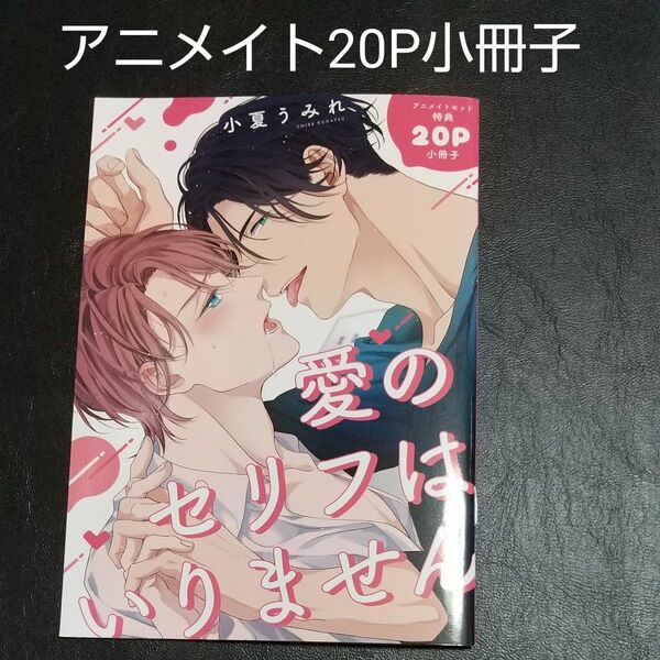 【小冊子】「愛のセリフはいりません」アニメイト有償20P小冊子