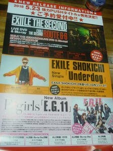 B2大 ポスター　EXILE SHOKICHI E-girls