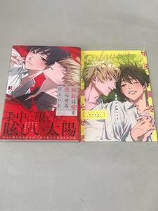 同梱可。 汀えいじ 『 嫉妬は愛を曇らせる 』アニメイト限定特典小冊子付き【0513】