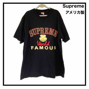 【Supreme】Tシャツ　アメリカ製　XL 半袖　world famous