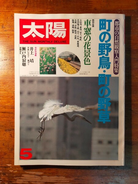 【送料無料】太陽 1981年5月 町の野鳥 町の野草（車窓 自然観察入門 串田孫一 中西悟堂 皇居周辺の四季 探鳥地 バードウォッチング 散策）