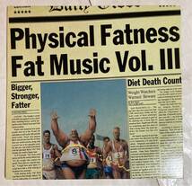 LP 97年 US盤 インサート付 PHYSICAL FATNESS FAT MUSIC Vol.Ⅲ FAT560-1 NOFX Hi-STANDARD_画像1