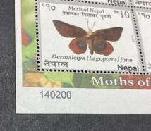 ネパール 2014年発行 蛾 昆虫 切手 未使用 NH_画像6