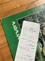 LP 見本盤 帯付 ヘロン マッドマン/ヘロンの世界 テイチク PYE RECORDS DAWN UPS-597-Y HERON MADMAN レコード 試聴済_画像6