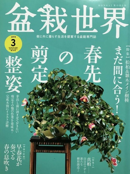 26　 盆栽世界　2019 3　　春先剪定整姿　　早春花が奏でる春の息吹き