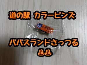 道の駅 カラーピンズ パパスランドさっつる 北海道