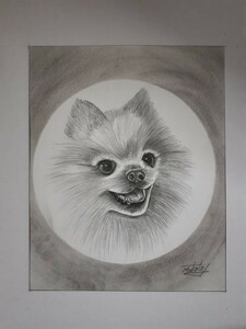 Art hand Auction Dibujo a lápiz Pomerania, obra de arte, cuadro, dibujo a lápiz, dibujo al carbón