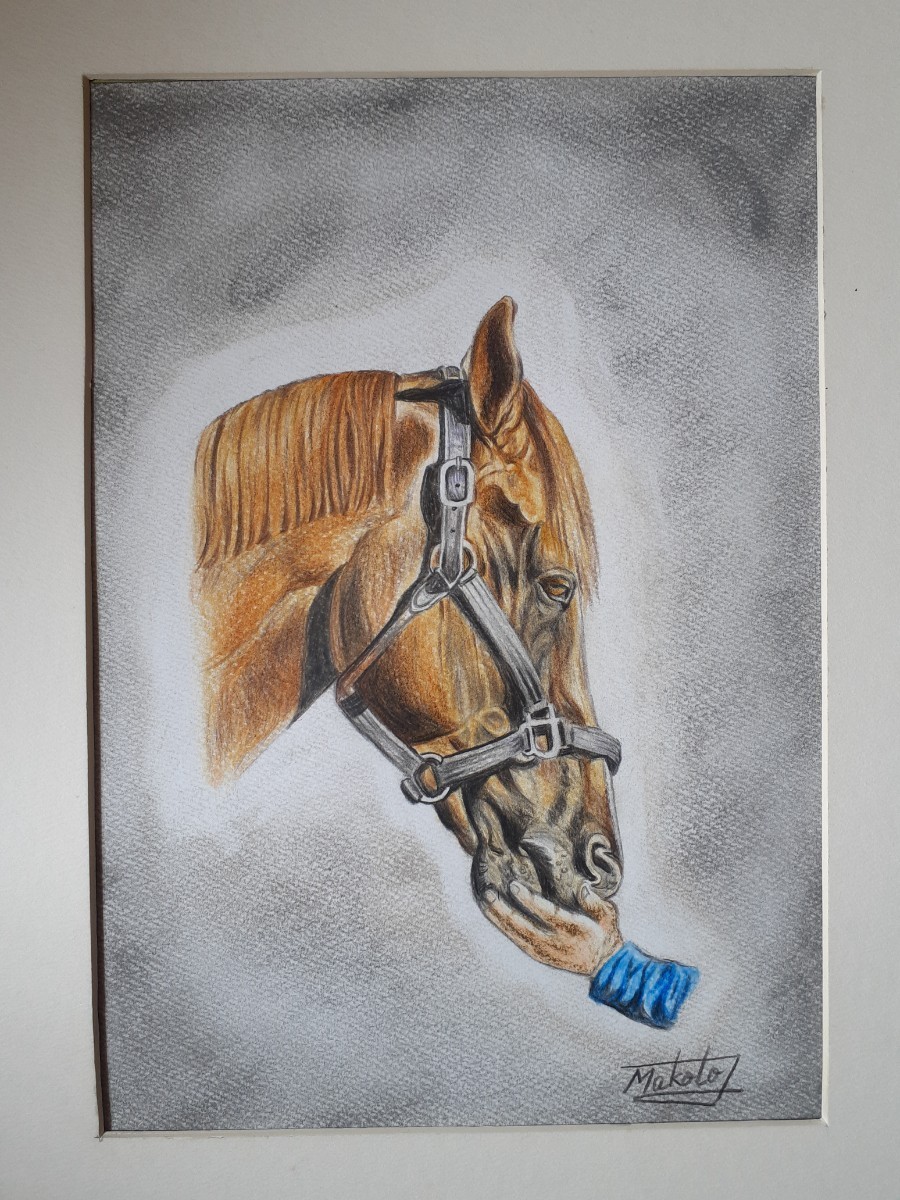 Dessin au crayon de couleur de mon cheval bien-aimé, ouvrages d'art, peinture, Dessin au crayon, Dessin au charbon de bois