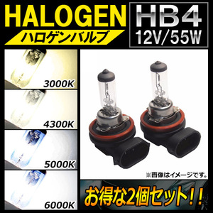 AP ハロゲンバルブ HB4 12V 55W 選べる4ケルビン AP-LL111-2 入数：2個