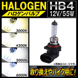 AP ハロゲンバルブ HB4 12V 55W 片側だけの取り換えやバイク用に！ 選べる4ケルビン AP-LL111-1