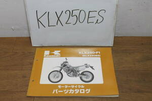 ☆　カワサキ　KLX250ES　KLX250-F1　パーツリスト　パーツカタログ　99911-1253-01　1版　H6.1.20　