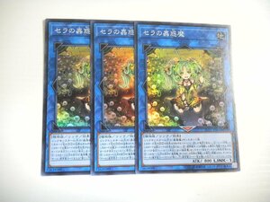 BU1【遊戯王】セラの蟲惑魔 3枚セット スーパーレア 即決