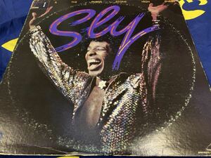 Sly＆The Family Stone★中古2LP/US盤「スライ＆ザ・ファミリー・ストーン～High Energy」カット盤