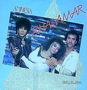 ★☆Shalamar「Amnesia / You're The One For Me」☆★