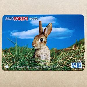 【使用済】 スルッとKANSAI 近鉄 近畿日本鉄道 ウサギ
