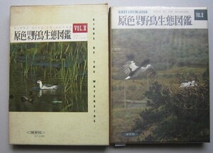原色日本野鳥生態図鑑 Vol.2　清棲幸保 著　保育社　昭和46年5刷