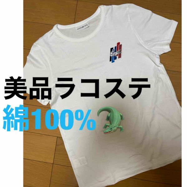 半袖Tシャツ Tシャツ ラコステ