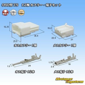 住友電装 060型 TS 12極 カプラー コネクター・端子セット