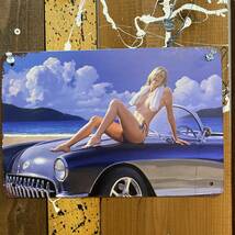 3枚 新品 壁掛けプレート クラシックカー セクシーガール 金属パネル 壁飾り雑貨 ブリキ看板 アンティークレトロでお洒落なかわいいクルマ_画像6