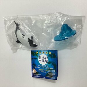 内袋未開封　海洋堂 水族館フィギュアコレクション 仙台うみの杜水族館 限定 イロワケイルカ ミニブック付き KAIYODO 松村しのぶ