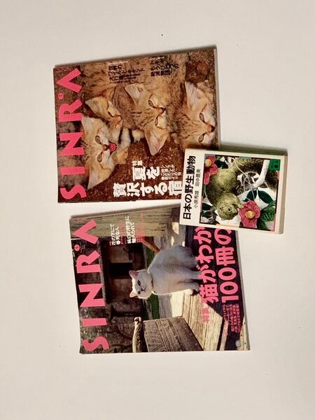 シンラ 文庫本