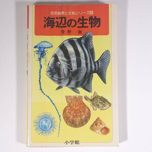 海辺の生物 菅野徹 自然観察と生態シリーズ8 小学館 1984 単行本 魚 図版 図録 ※状態やや難