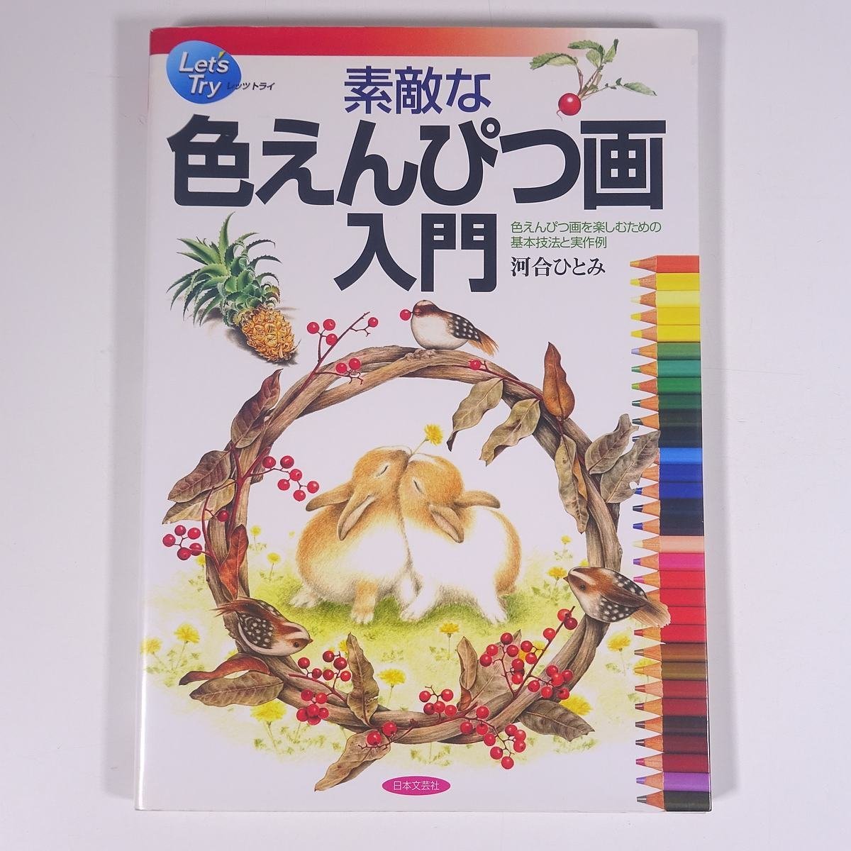 素敵な 色えんぴつ画入門 河合ひとみ 日本文芸社 2002 大型本 芸術 美術 絵画 イラスト デッサン 技法書 色鉛筆, アート, エンターテインメント, 絵画, 技法書