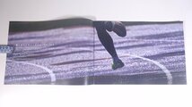 SONY ソニー デジタル一眼カメラ α9 ソニー株式会社 2017 小冊子 パンフレット カタログ カメラ 写真 撮影_画像5