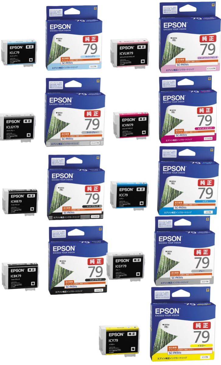 EPSON エプソン 純正インクカートリッジ 竹 I9CL79 一つ|PayPayフリマ