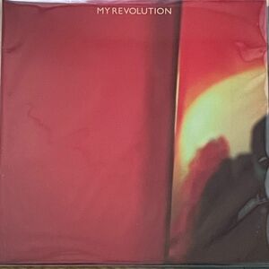 ゆうらん船 [MY REVOLUTION] 2023 RSD 限定盤LP レコード