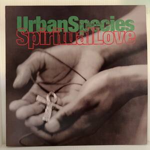 Acid Jazz 12 - Urban Species - Spiritual Love - Talkin' Loud - VG+