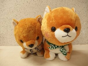 0430582s【豆しば三兄弟 BIG ぬいぐるみ ２体】豆太郎/マスコット/犬/柴犬/AMUSE/中古品/簡易梱包での発送