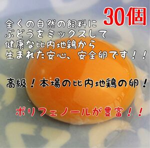 【超高級】本場の比内地鶏のたまご30個