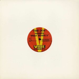 試聴 The Don - The Phat Headz 2 [12inch] Vibe Music US 1995 House