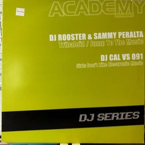 DJ Rooster & Sammy Peralta / DJ Cal vs. 091 DJ Series [12”] フレンチハウス トライバルハウス