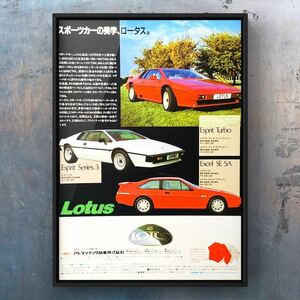  that time thing 70 period Lotus full line-up advertisement / Lotus esprit turbo Excel Excel Turbo Esprit 3rd Series3 S3 78 79 poster used 