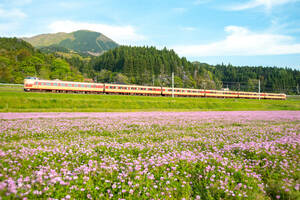 鉄道 デジ 写真 画像 381系 国鉄色 特急やくも 55