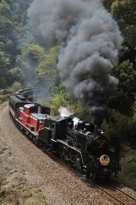 鉄道 デジ 写真 画像 C56 やまぐち号 山口線