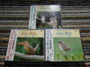 * rare records out of production. japanese wild bird 3 pieces set! seal obi 