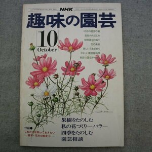 特3 73088★ / NHK 趣味の園芸 1975年10月号 果樹をたのしむ 柿・梅・桃・ブドウ・ミカン類など 四季をたのしむ 私の花づくり～バラ～